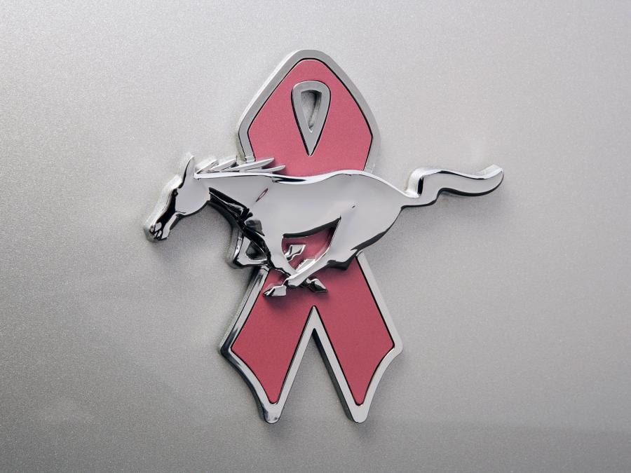  Ford Mustang Warriors in Pink 2008 года  (фото 4 из 7)